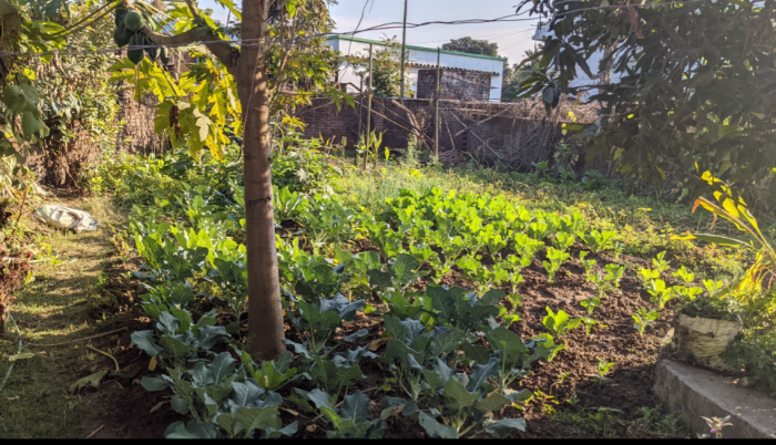 Beautiful 3 flat house for sale in Ratnanagar, Chitwan