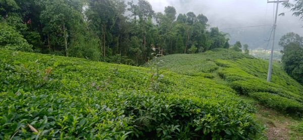 Land in the queen of hills kanyam,ilam