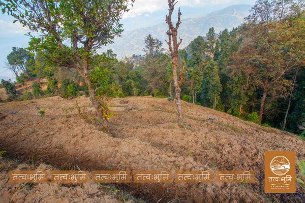 6 Ropani Land On Sale at KhariBhanjyang , Nuwakot.