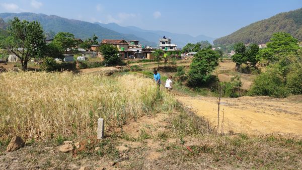 Land for Sale Land for Sale