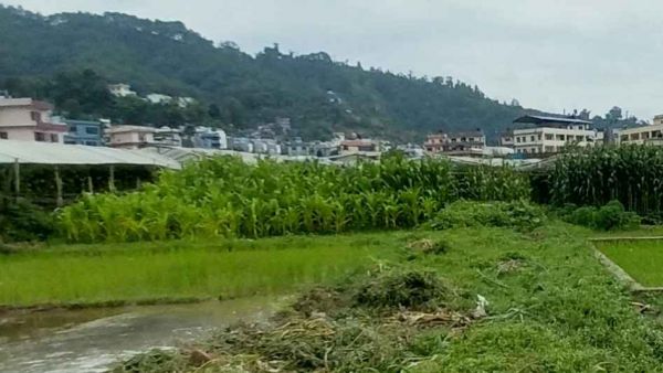 3.5 aana land for sale near Srijana Chowk, Dahachowk 3.5 aana land for sale near Srijana Chowk, Dahachowk