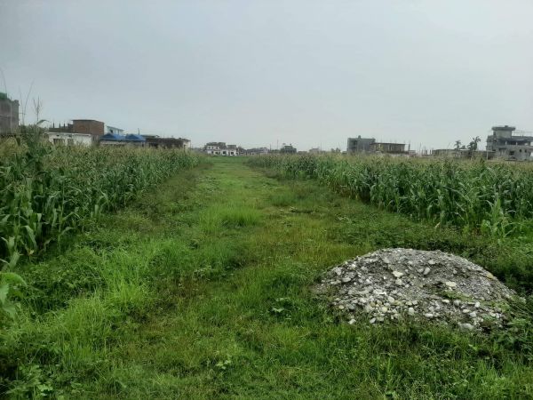 Potential Land for sale in Belbari, Morang