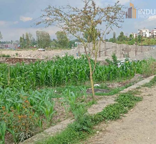 Land on sale-Pepsicola, Kathmandu