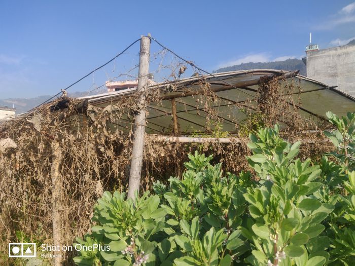 Land sale in Balambu Kathmandu