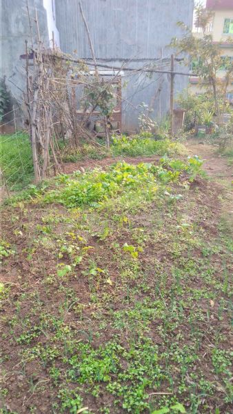 KUSHMA BAZAAR (LAND FOR SALE)