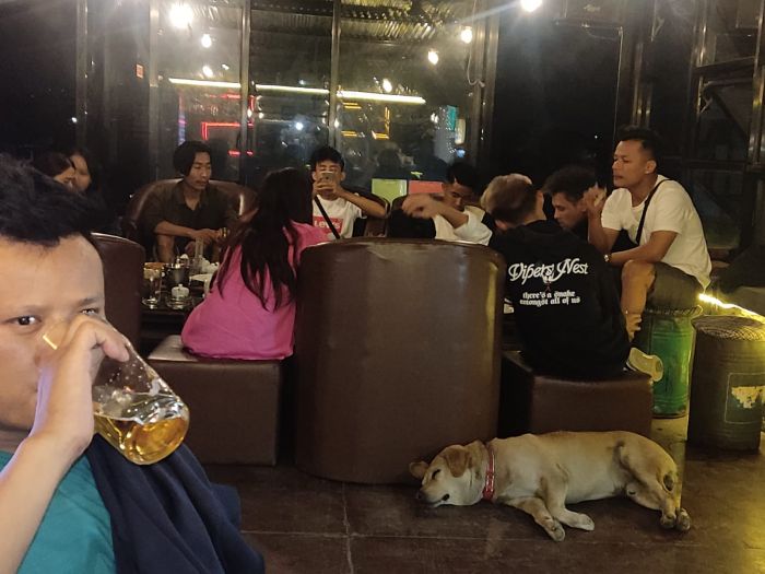 Cocktails bar at sales