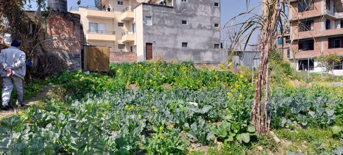 Attractive Land On Rent (pandu Bazar, Gundu Road)