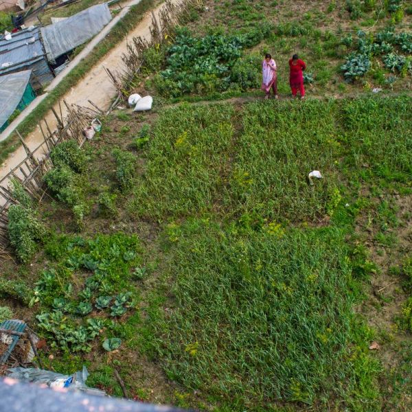 5 aana plotted land for sale in Tarakeshwar Chisapani