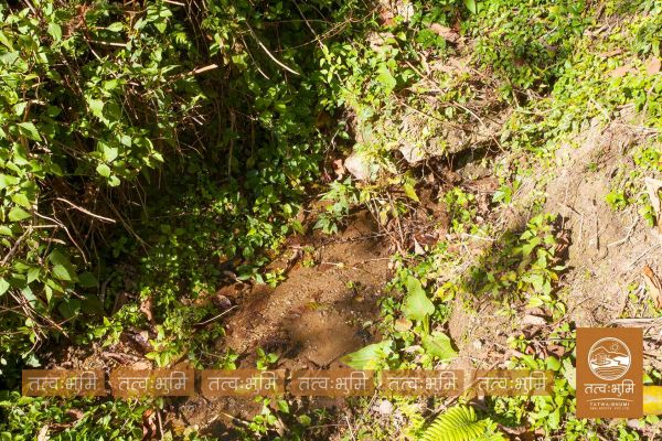 1 Ropani land for sale in KhariBhanjya - Nuwakot.