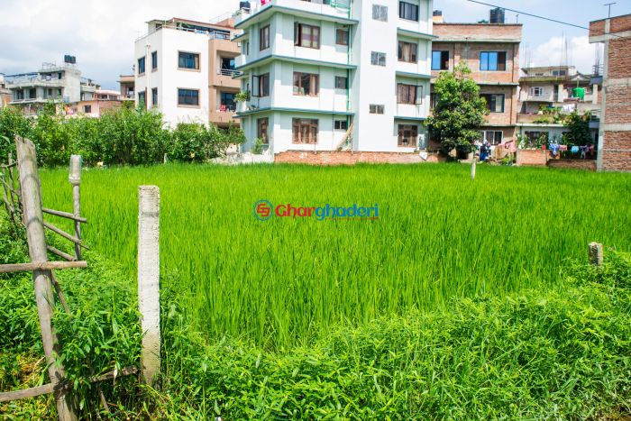 10 anaa 2 paisa ghaderi land for sale in Kirtipur Kathmandu