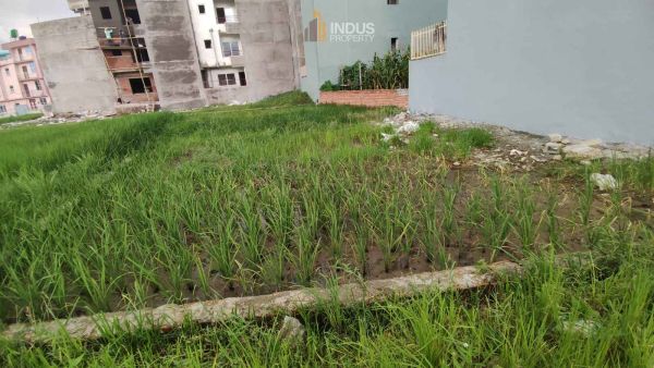 Land on sale at Tikathali, Imadol Land on sale at Tikathali, Imadol