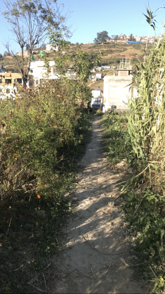 Land (plus house) for Sale