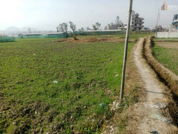 Land On Sale at sanagau, Lalitpur