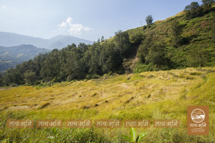 18 Ropani land on Sale at Mulabari, Nuwakot