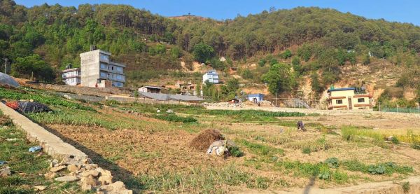 5 anna land for sale in Nagarjun 24 lakhs per aana