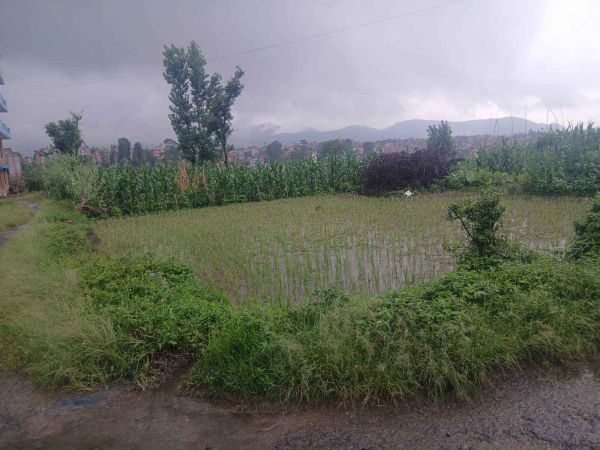 Land on Sale Changunarayan 4