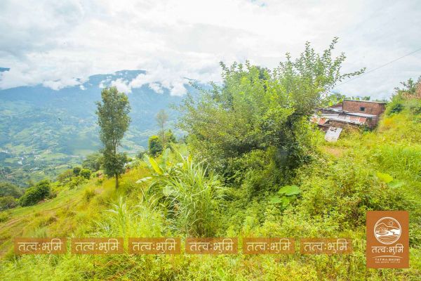 12 Ropani land for sale in Kabilash - Nuwakot.