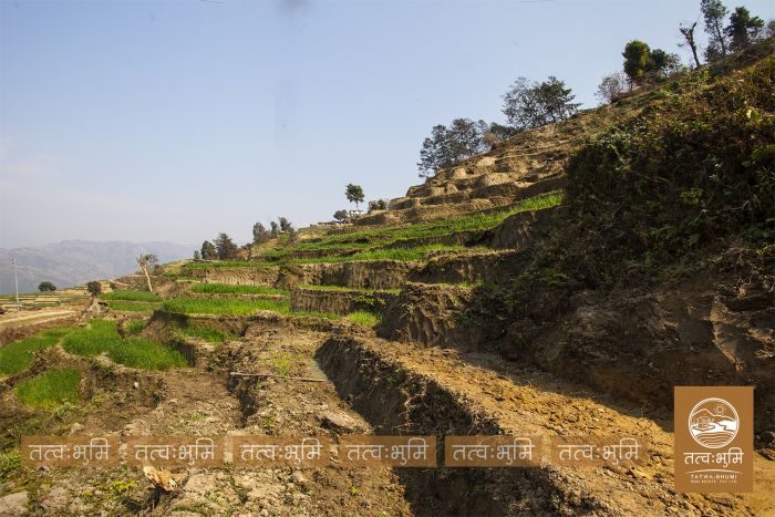 10 Ropani land in Matragaun, Nuwakot on Sale