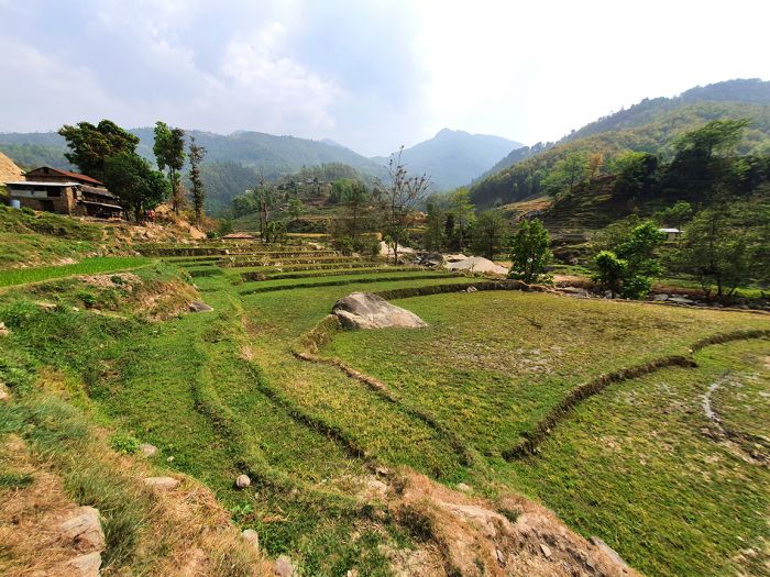 6 Ropani 8 Ana land on Sale at Sherabagar, Nuwakot