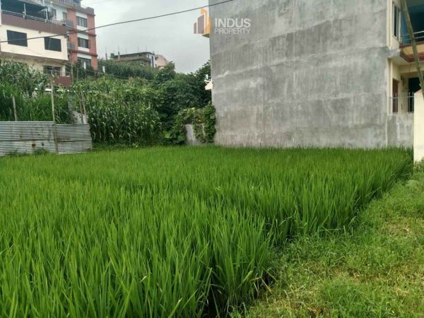 Land on sale at Thaiba, Lalitpur