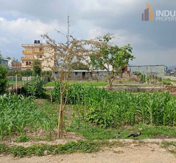 Land on sale-Pepsicola, Kathmandu