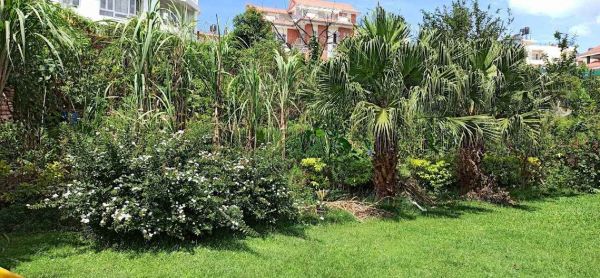 36 Anna Land with House