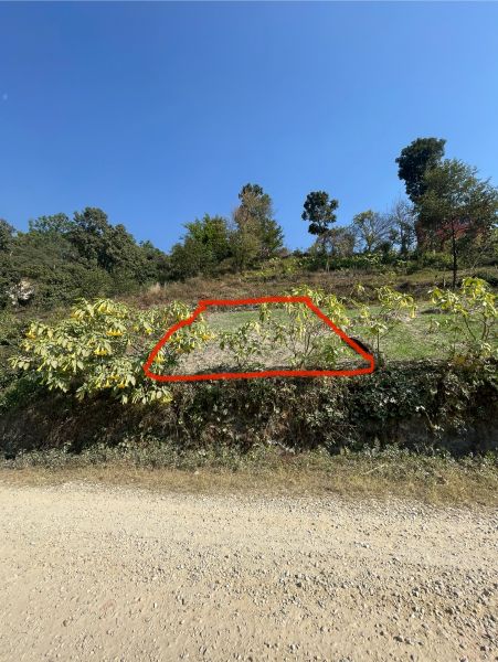 4 Ana 1 paisa land on sale