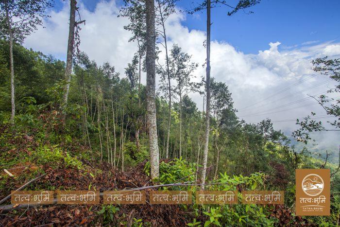 22 Ropani land on sale Ranipauwa, Kakani - Nuwakot