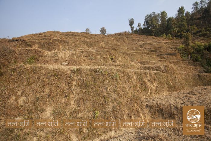 6 Ropani land on sale at Narayanthan - Nuwakot