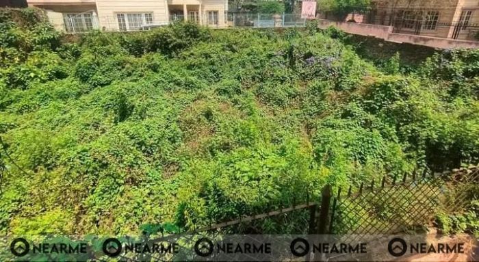 Land On Sale at Naxal, Kathmandu