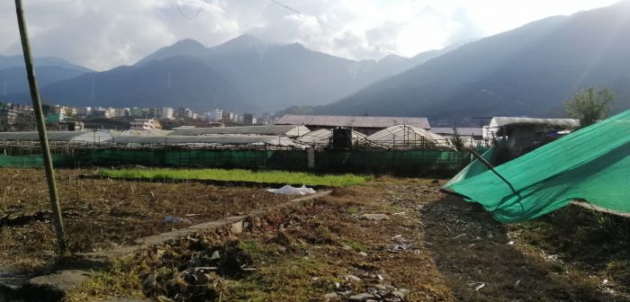 Land sale at perfect location and nearby main road Land sale at perfect location and nearby main road