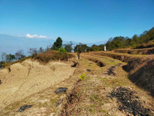 25 Ropani Land for SALE in Shivapuri Area, Khari Bhanjyang, Nuwakot 25 Ropani Land for SALE in Shivapuri Area, Khari Bhanjyang, Nuwakot