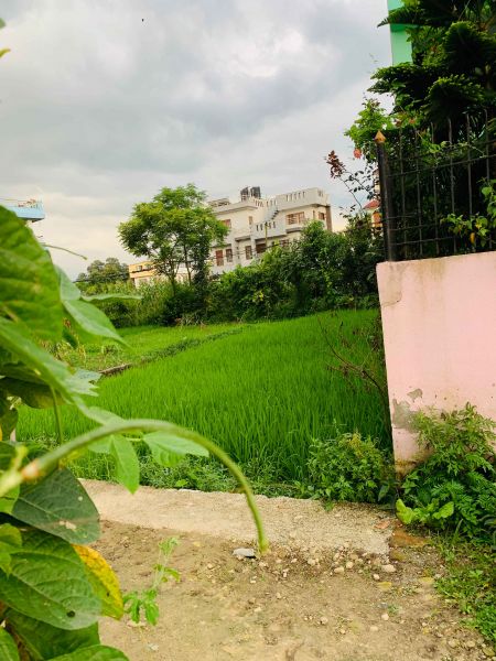 5 Aana land on sale at extremely low price in Bhaisepati, Lalitpur.