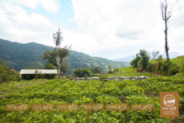 1 Ropani Land On Sale at Okharpauwa, Nuwakot
