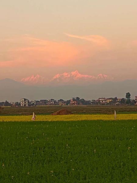 dui tira bato parne Mileko jagga ghaderi bikrima dui tarfi bato  ( land for sale )
