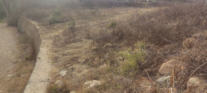 Sasto 3 ropani 10 Anna jagga bikrima