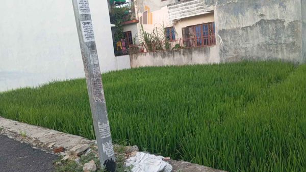 Land on sale at Balkot, Bhaktapur