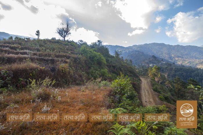 73 Ropani Land On Sale at KhariBhanjyang , Nuwakot