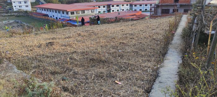 Land For Sale Hattigauda - Khadka Bhadrakali