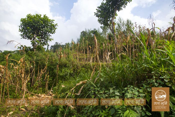 18 Ropani Highway Touched land Sale in 35 Kilo.