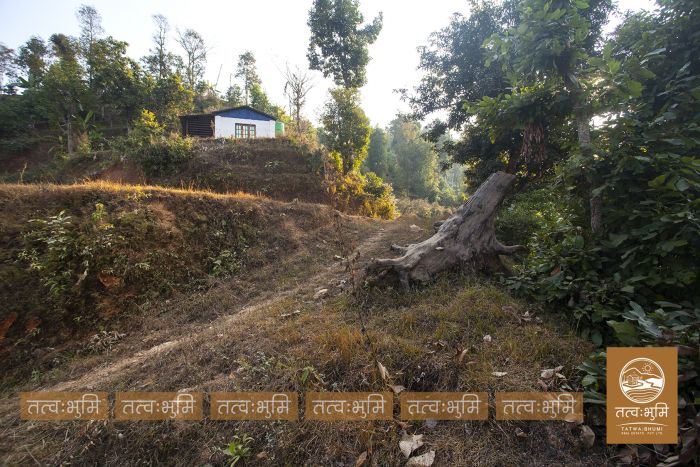 11 Ropani land near Chahare, Nuwakot on Sale.