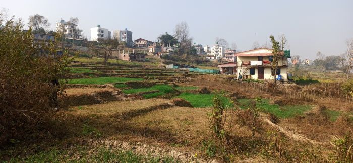 Land for sale in Sirutar