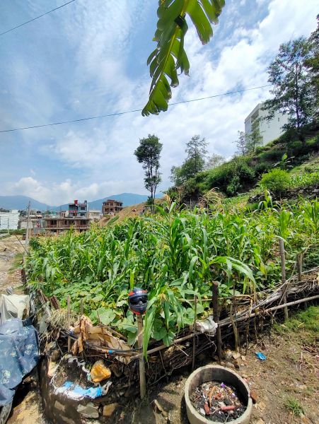 Residential Land on sell at kapan, Budanilkantha