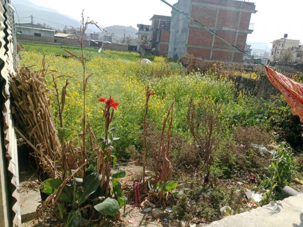 Land On Sale-Harisiddhi Lalitpur