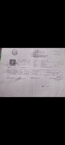 Dhangadhi, kailali jai,  