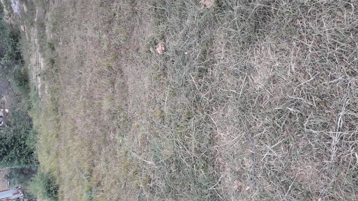 Land for sale at dhulikhel @ 6.5lakh per aana