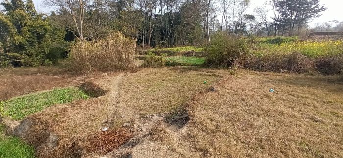 Land for sale in Sirutar