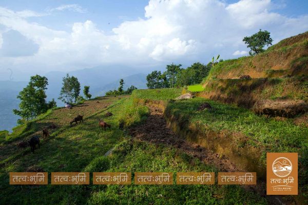 8 Ropani land for saie at Mathbhanjyag nuwakot.