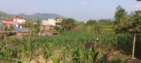 HOUSE FOR SALE IN JAMUNE, TANAHUN.