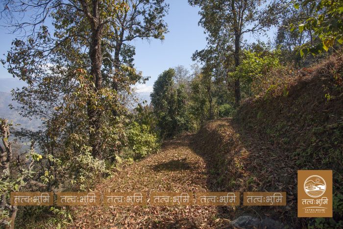 9 Ropani land in Naraynthan, Nuwakot on Sale.